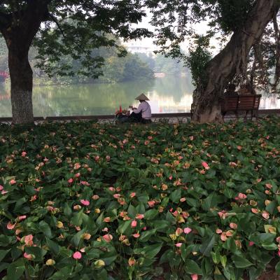 女子旅ｉｎハノイ　１日目～２日目（ハノイ到着・ハロン湾）