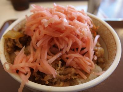 肉祭り（２９０円）ですき家へ