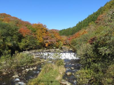 みちのくの紅葉を求めて・・・八甲田～奥入瀬渓流～平泉へ