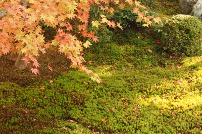 京都おまけ旅 - 一乗寺・修学院編 -