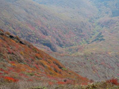 九州の旅その2・・秋の久住山登山を楽しむ②久住山山頂～牧ノ戸峠まで