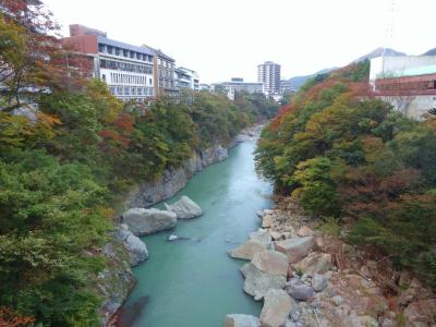 2015秋 古稀の父と旅する6日間（2）鬼怒川温泉