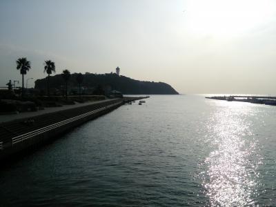 江の島遠足～とびっちょ＆江の島神社＆江ノ島岩屋＆新江ノ島水族館～