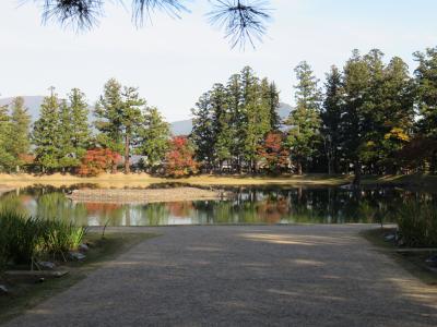 みちのくの紅葉を求めて・・・平泉～盛岡～田沢湖へ