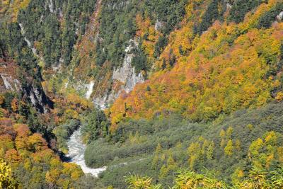 黒部ダム周辺の色鮮やかに染まる紅葉（富山）