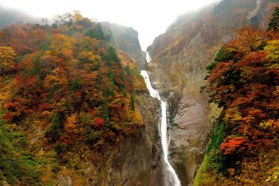 『落差日本一　称名滝』『幻の滝　ハンノキ滝』を行く　☆立山に小さい秋を探しに行ったら、どエライ秋をみ～つけた！☆