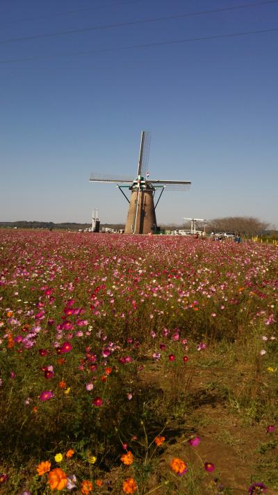 テーマパーク♪千葉の旅