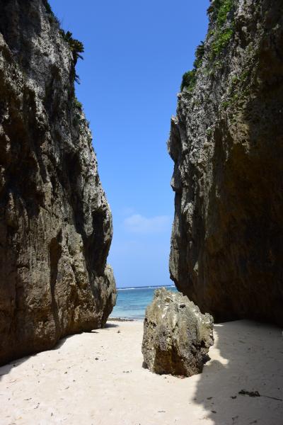 晴れ女の威力発揮!初めての沖縄を満喫☆備瀬のフクギ並木~備瀬のワルミへ