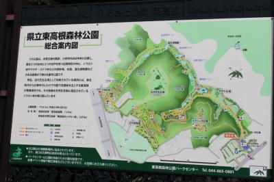 神奈川県立東高根森林公園