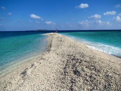 “西表島は。。。楽しかったぁ～”　。。。　『西表島・石垣島４泊５日旅行　Ｐａｒｔ２ 』　。。。　“マングローブカヤックとゲータの滝トレッキング＆バラス島シュノーケルで。。。西表島の自然を満喫しました～”