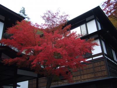 紅葉の白骨温泉