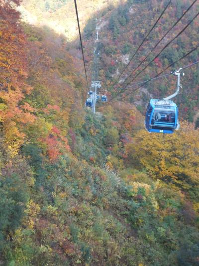 紅葉の苗場・田代ドラゴンドラに乗り、牧之通り（宿場町・塩沢宿）を見て、幕末の名匠石川雲蝶の素晴らしい彫刻、絵画の西福寺・開山堂にお参りする。