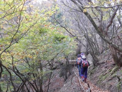 久しぶりに鈴鹿の山へ～♪ 　　　 H27.10月