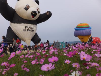 感動！一斉に空へ上がるバルーン！佐賀バルーンフェスタ2015