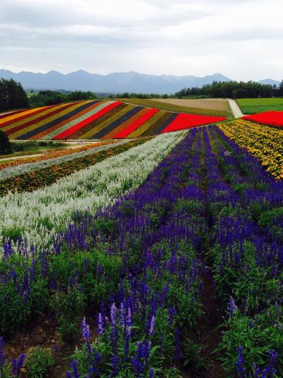 スケッチみたい