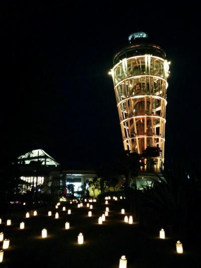 日帰り江の島旅行 (1-day trip to Enoshima from central city of Tokyo)