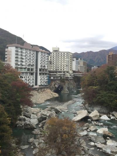 親子2人旅 鬼怒川温泉一泊２日