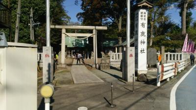 ぱぱのぷらぷら散歩／最古？の神社に行ってみよ～