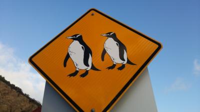 ペンギンに会いたくてニュージーランド南島 ※１日目～２日目