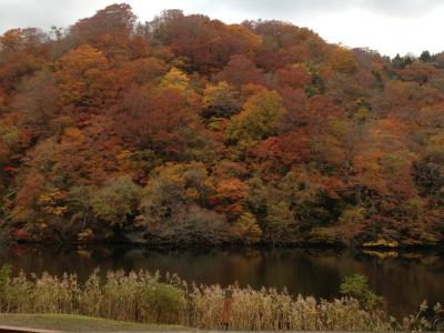 晩秋みちのくひとり旅★