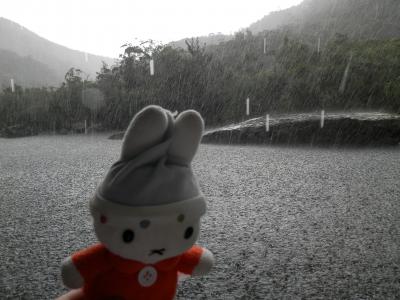 グーちゃん、八重山へリベンジに行く！（西表島/ジャングルで豪雨にあう！編）