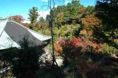 紅葉の槇尾山