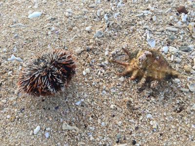 女子旅！ 沖縄2泊3日