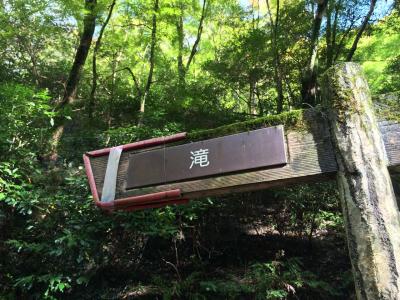 紅葉前に箕面の滝へお散歩