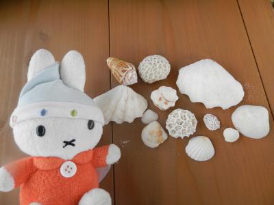 グーちゃん、八重山へリベンジに行く！（グッバイ！八重山の皆さん！編）