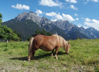 2015年 チロル3つの谷とエーアヴァルト【1】シュリック2000 ゼンヨッホヒュッテへ(シュトゥバイタール①)