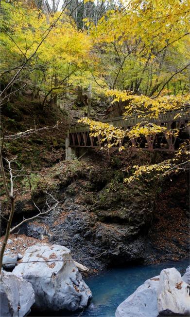 荒れた道をゆくスッカン沢。美しい紅葉と渓流、滝めぐり