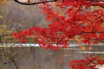 南会津の晩秋の紅葉を巡る