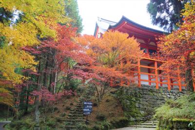 秋色に染まる比叡山延暦寺へ 2015