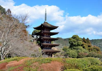 山口、広島 国宝・重文を訪ねる旅』山口県の旅行記・ブログ by YF二