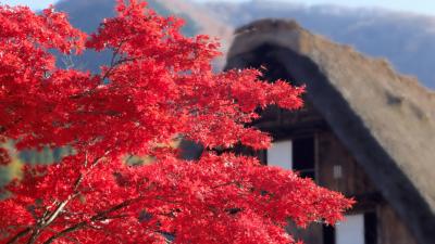 下呂から飛騨高山そして白川郷へ　2015年11月