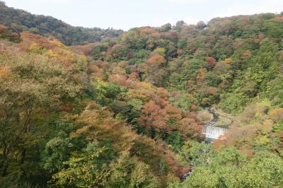 2015 紅葉の箱根を駆け抜けてみました