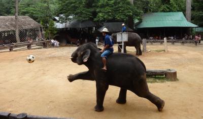 タイのチェンマイ（2015年11月旅行記）