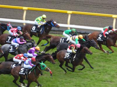秋の優雅な東京競馬場♪