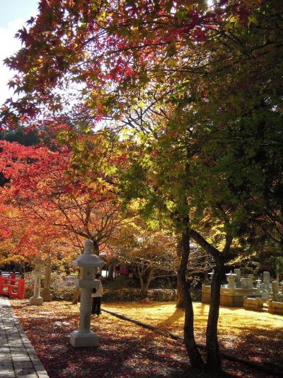 念願の高野山　その２