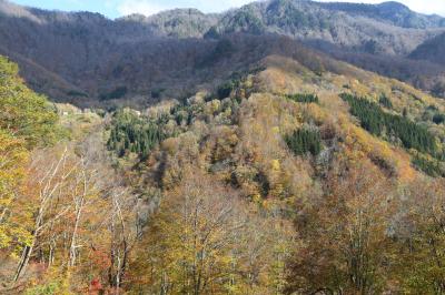 中里を通り秋山郷で紅葉をめでる