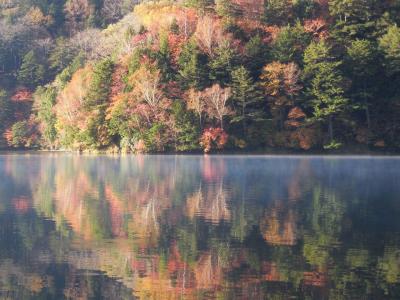 湯ノ湖の紅葉を楽しみました