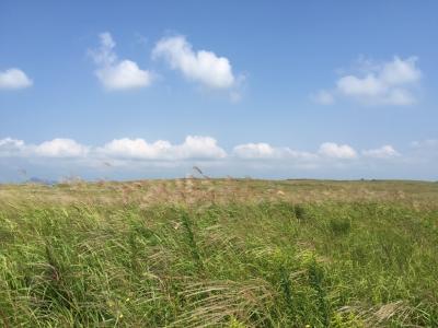 ★すすきの大草原　佐賀大野原高原