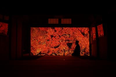 ライトアップが始まった但馬安國禅寺に行ってきました！