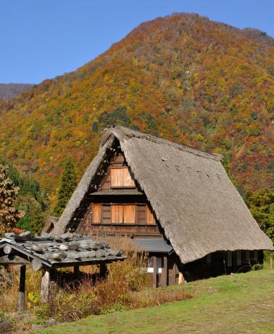 紅葉最盛期の五箇山