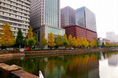 東京駅・和田倉門前付近の紅葉