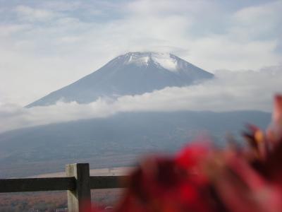 「勝沼ぶどう畑」と「樹海探検」ウォークをする！!!