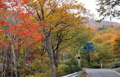 2015年 紅葉探索 第三弾　その２　坤六峠（片品村→水上）