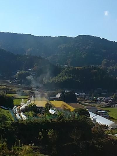 棚田１００選の長谷棚田