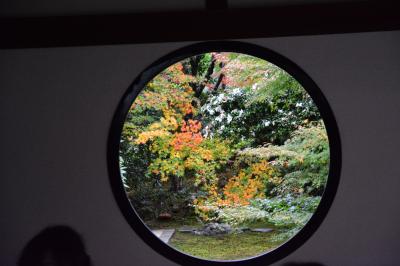 京都紅葉情報　鷹峯　源光庵の紅葉の見ごろは、もう少し先です　２０１５年１１月８日