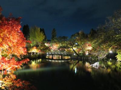 2015年そろそろ紅葉　そうだ京都へ行こう!!　行ってきました永観寺と青蓮院ライトアップ♪